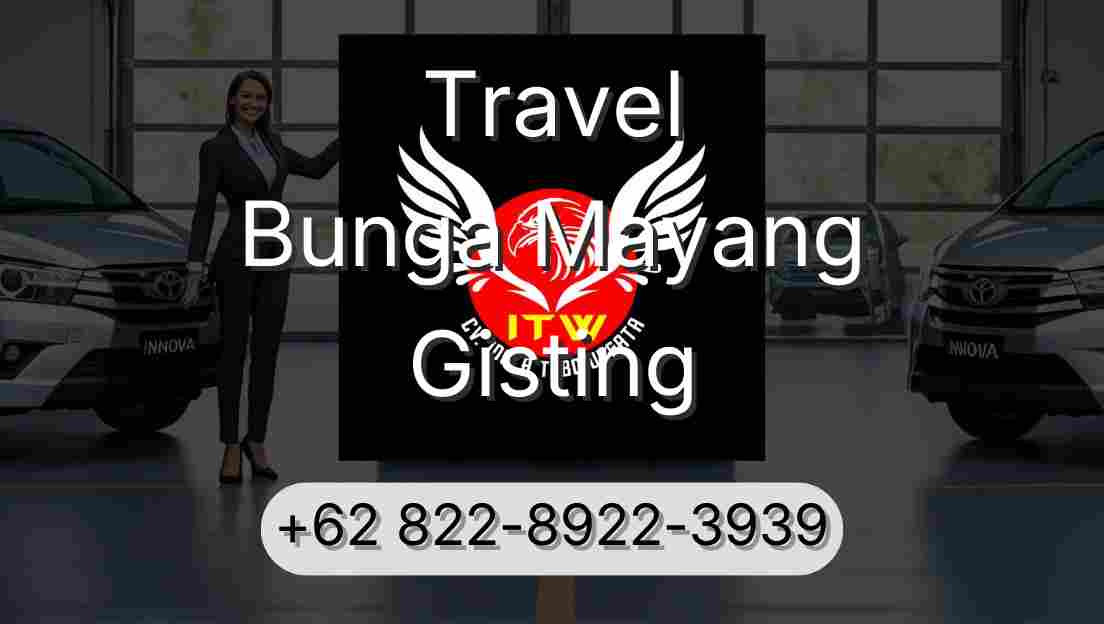 Travel Bunga Mayang Gisting