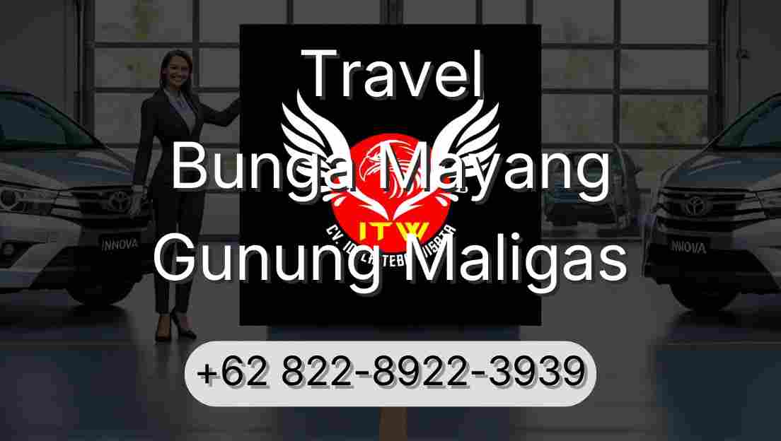 Travel Bunga Mayang Gunung Maligas