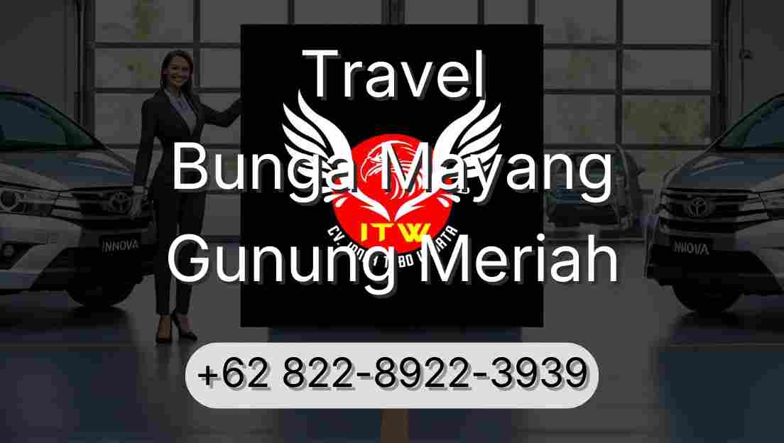 Travel Bunga Mayang Gunung Meriah