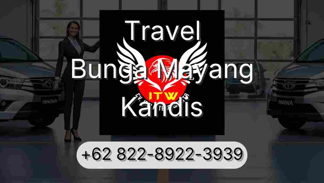 Travel Bunga Mayang Kandis