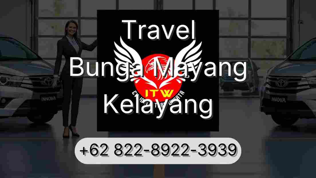 Travel Bunga Mayang Kelayang