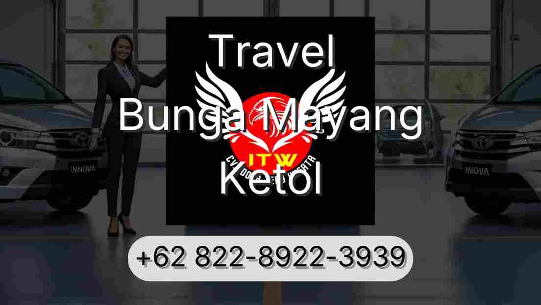 Travel Bunga Mayang Ketol
