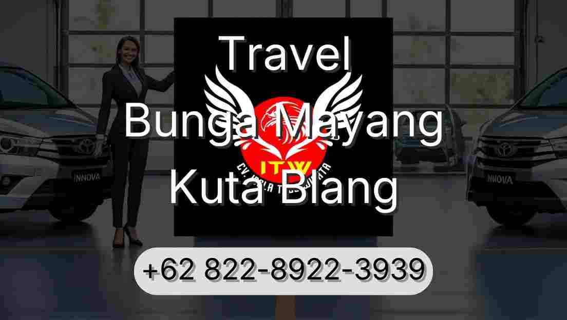 Travel Bunga Mayang Kuta Blang
