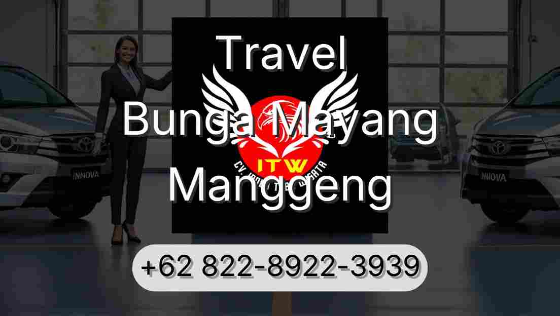 Travel Bunga Mayang Manggeng