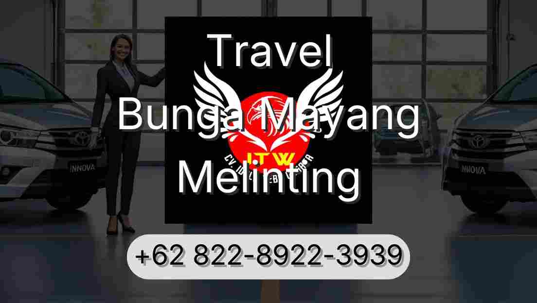 Travel Bunga Mayang Melinting