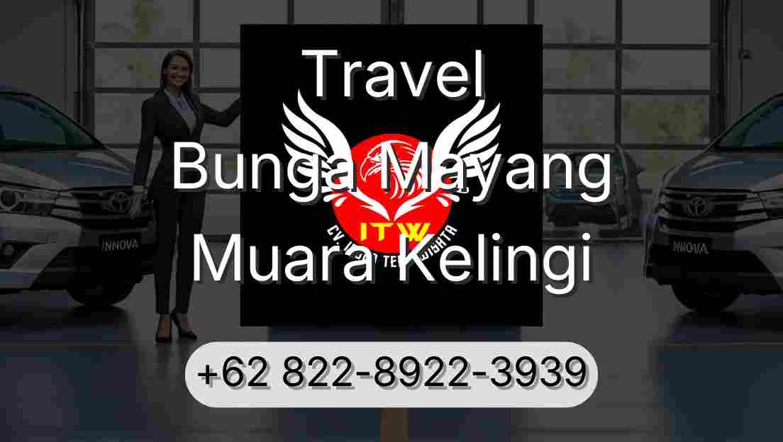 Travel Bunga Mayang Muara Kelingi