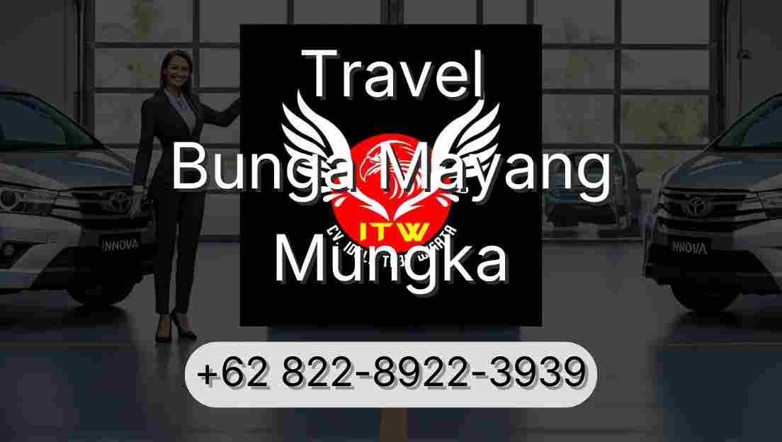 Travel Bunga Mayang Mungka