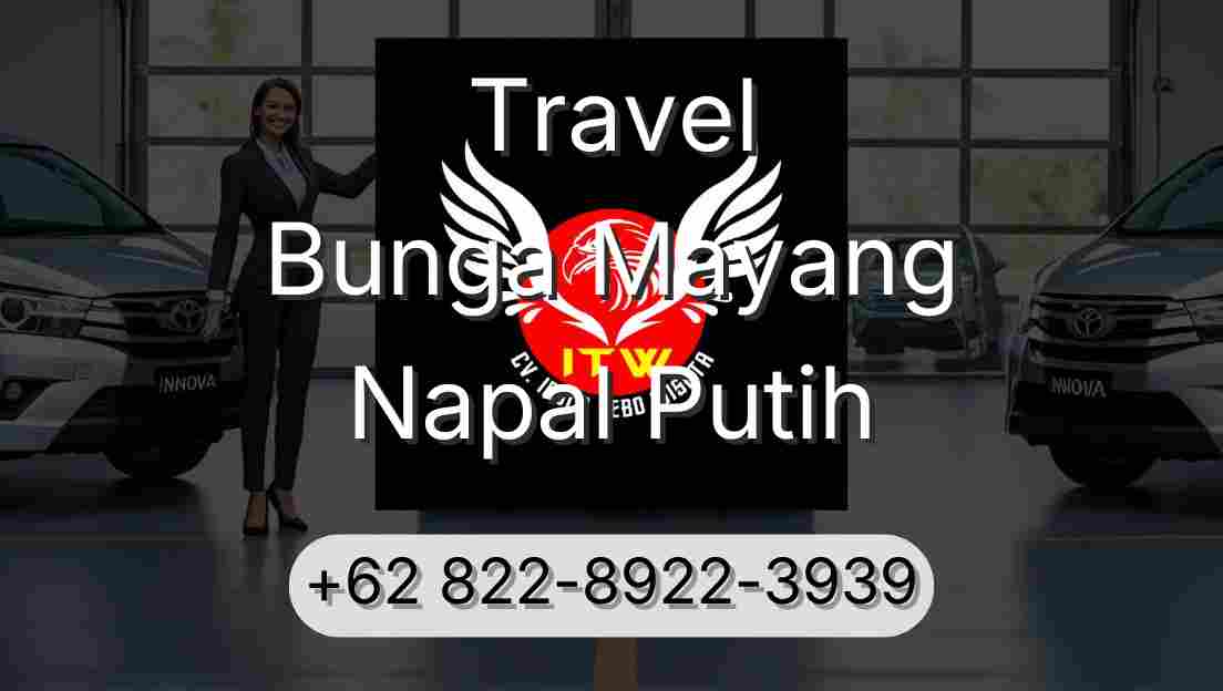Travel Bunga Mayang Napal Putih