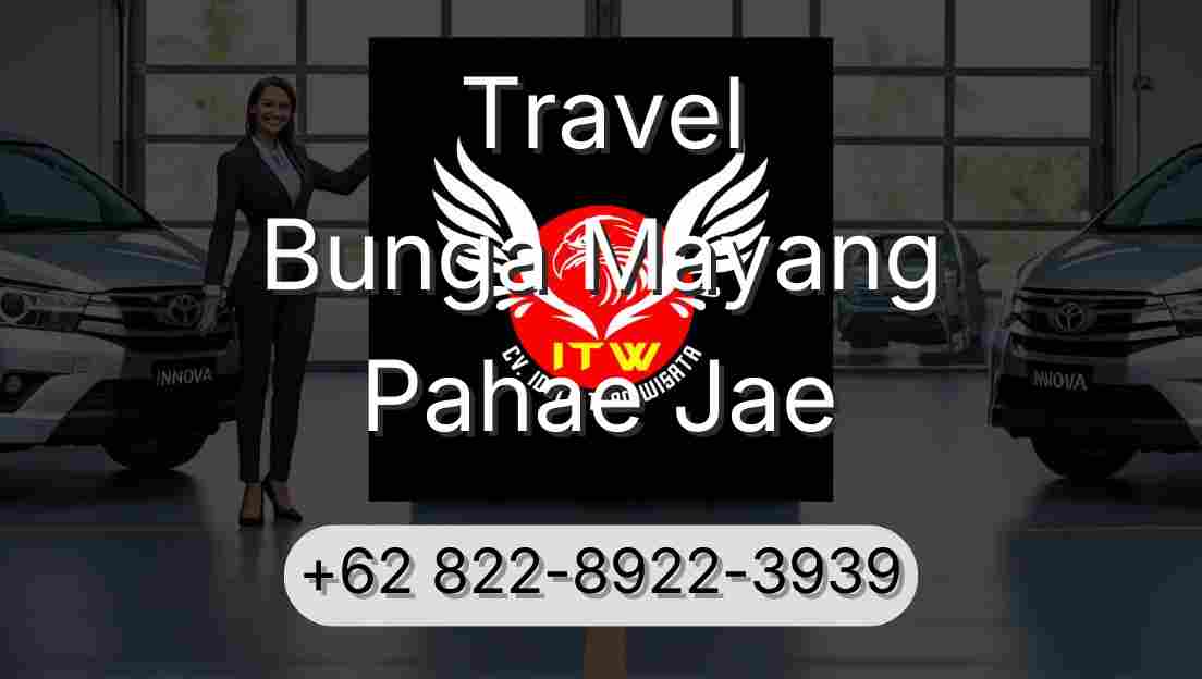 Travel Bunga Mayang Pahae Jae