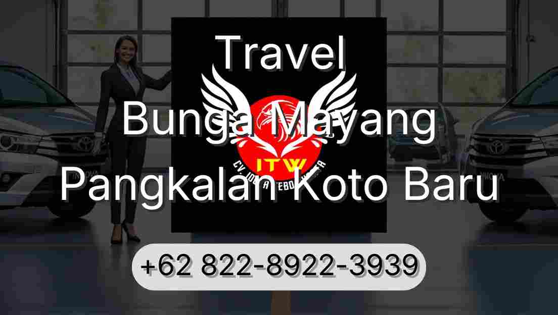 Travel Bunga Mayang Pangkalan Koto Baru