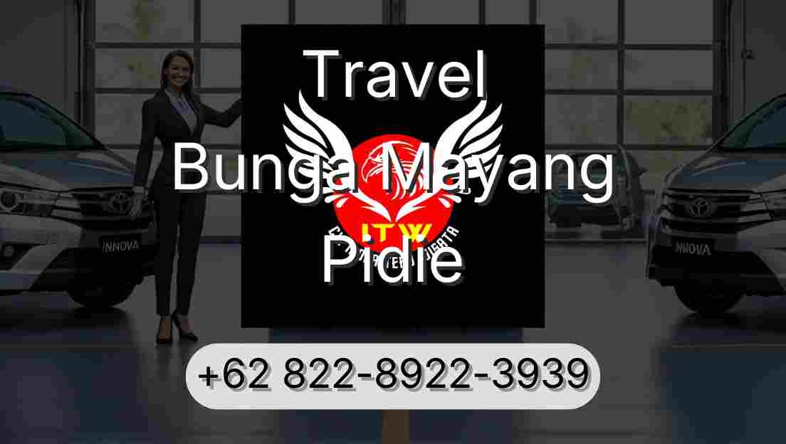Travel Bunga Mayang Pidie