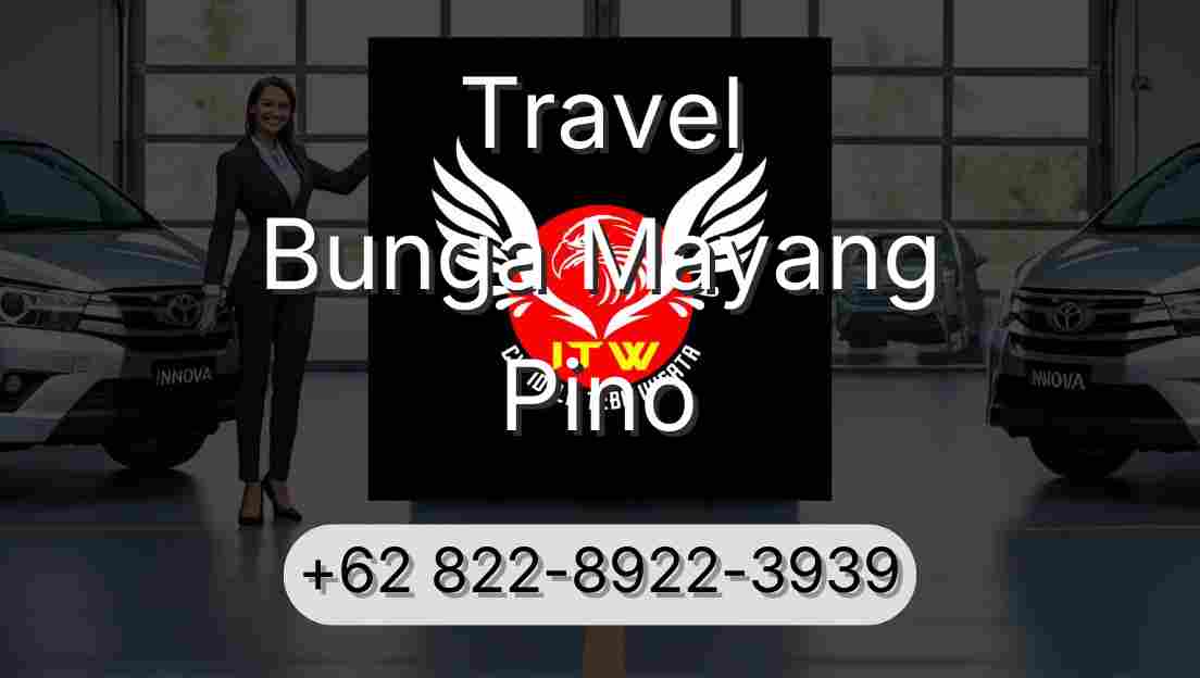 Travel Bunga Mayang Pino