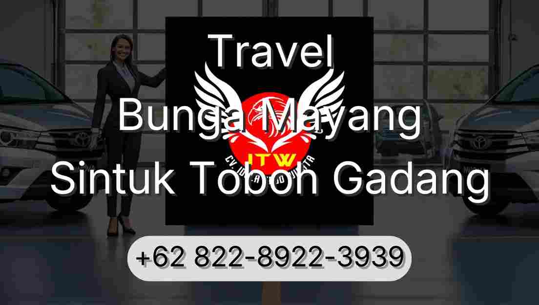 Travel Bunga Mayang Sintuk Toboh Gadang