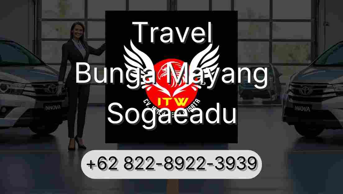 Travel Bunga Mayang Sogaeadu
