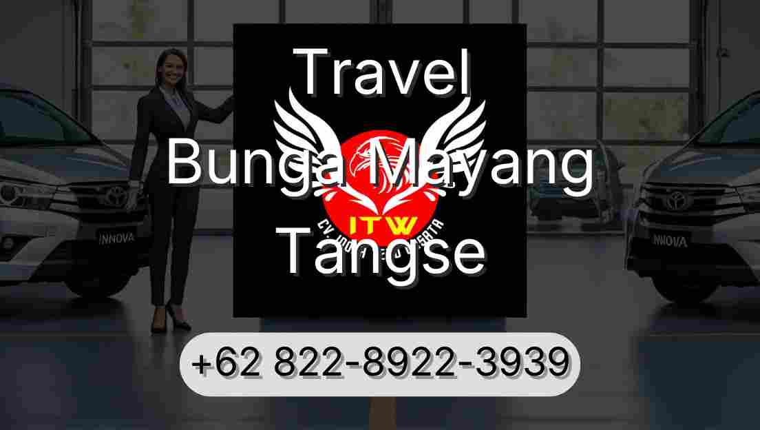 Travel Bunga Mayang Tangse