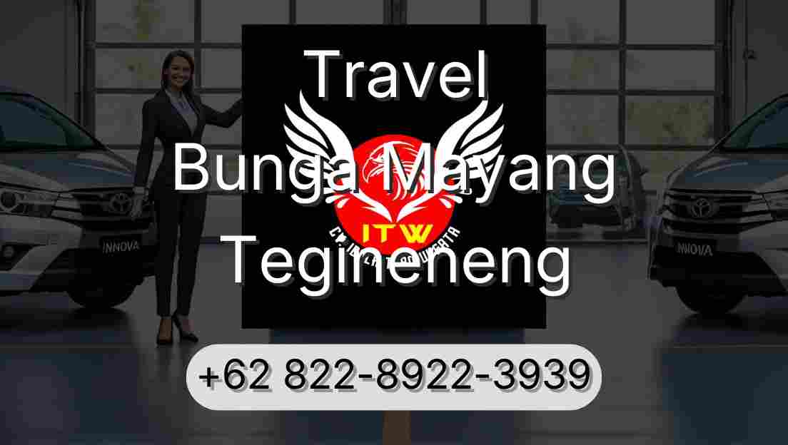 Travel Bunga Mayang Tegineneng