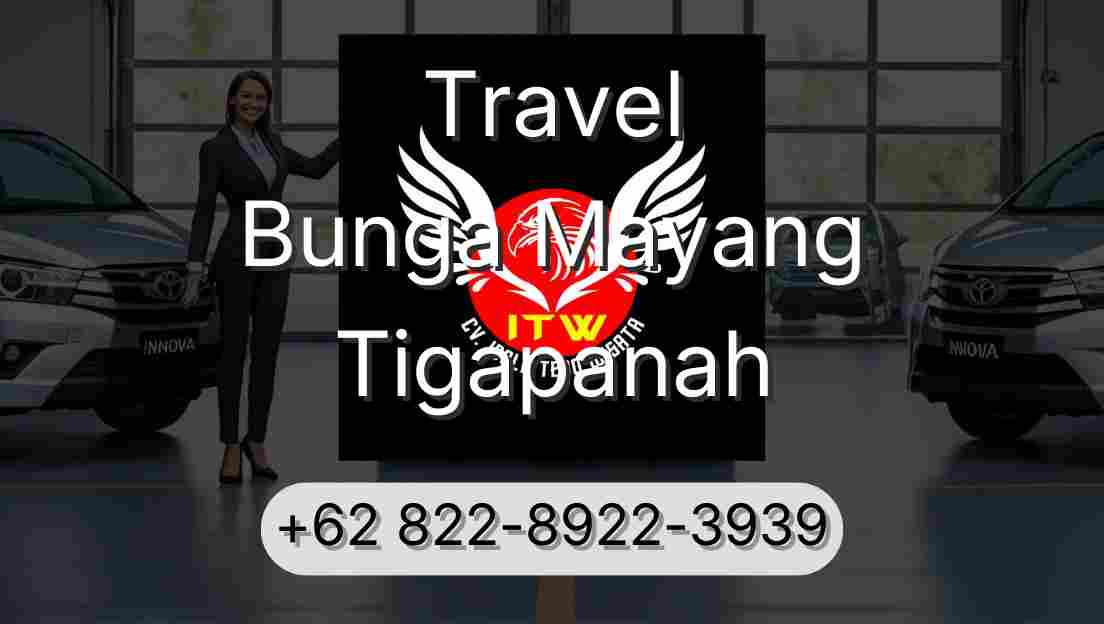 Travel Bunga Mayang Tigapanah