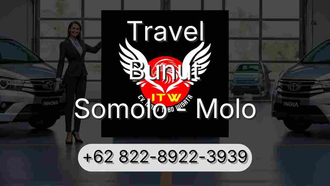 Travel Bunut Somolo - Molo