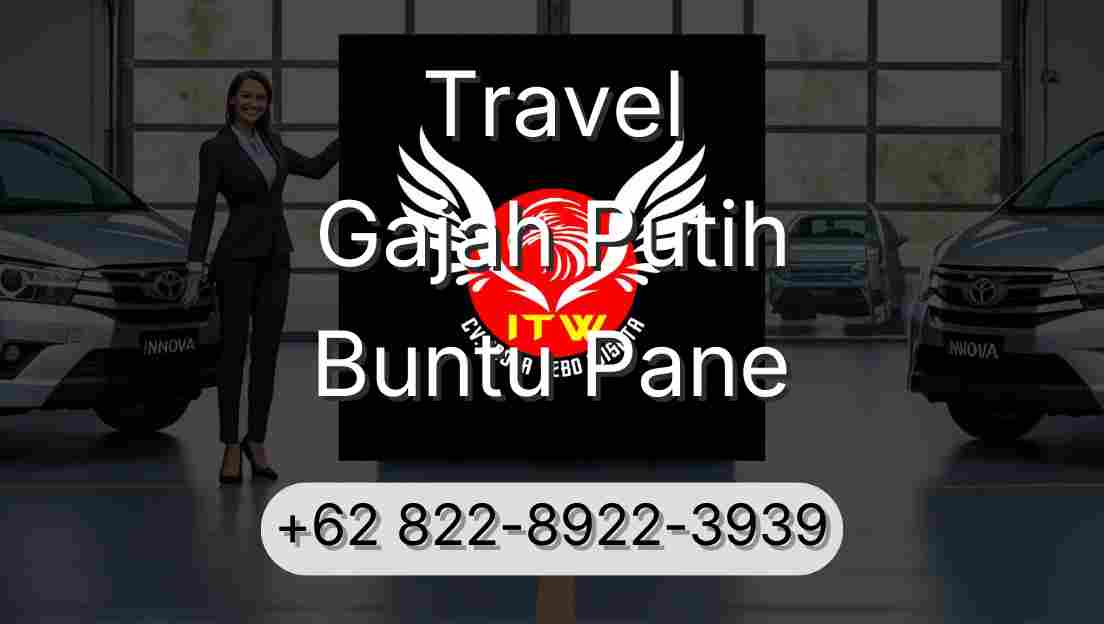 Travel Gajah Putih Buntu Pane