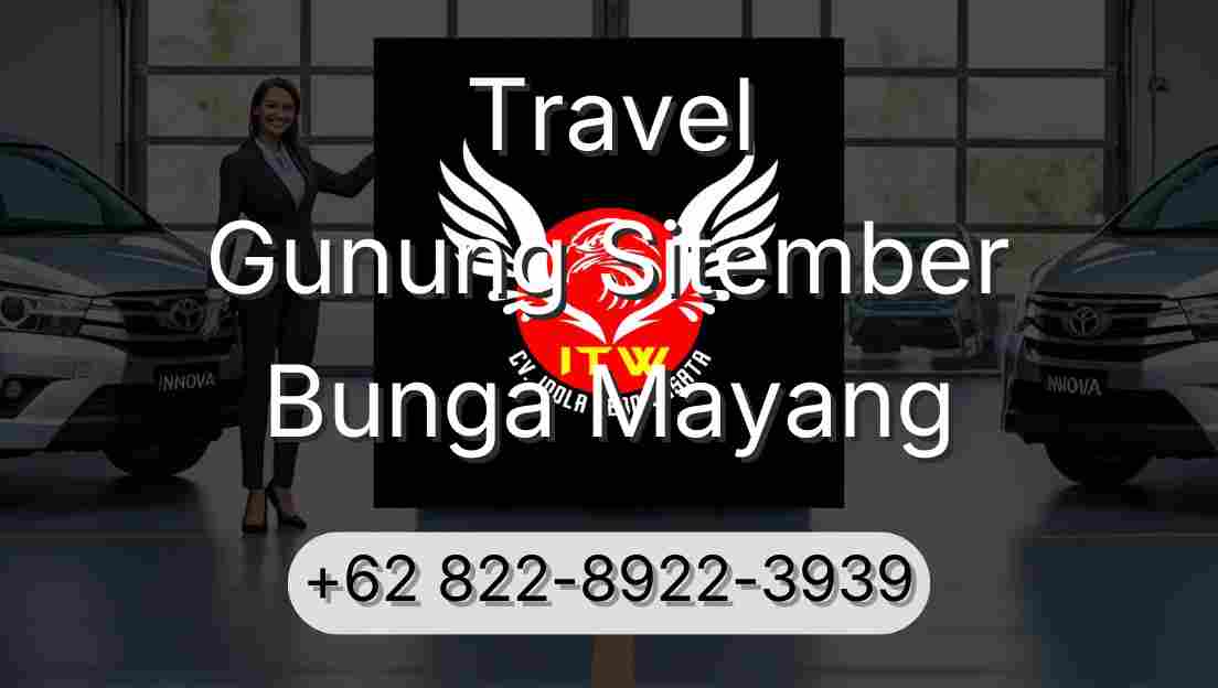 Travel Gunung Sitember Bunga Mayang