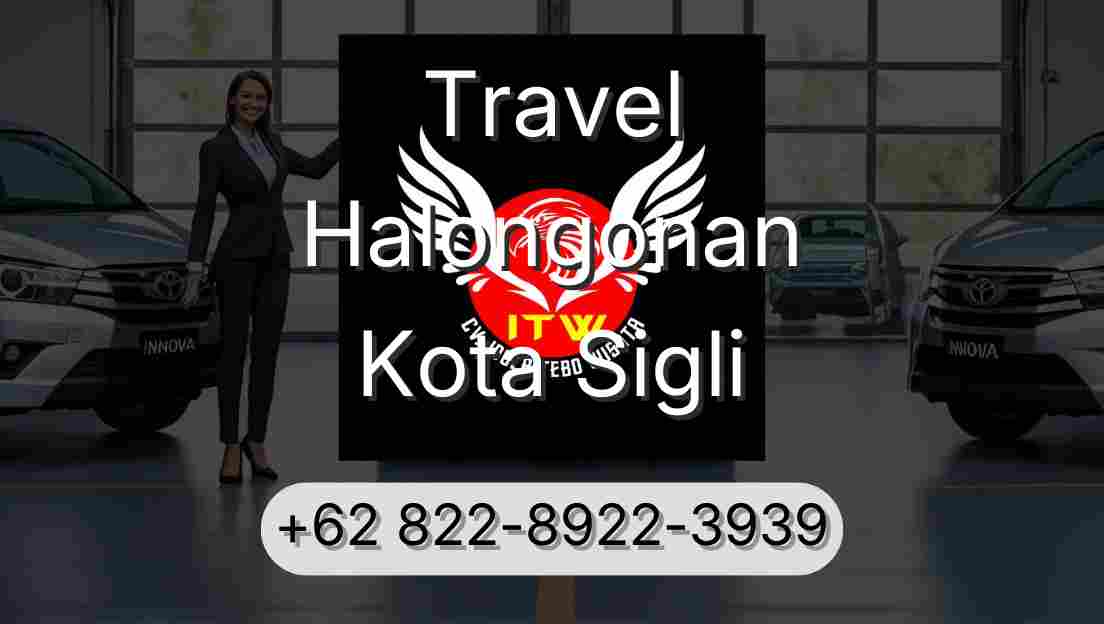 Travel Halongonan Kota Sigli