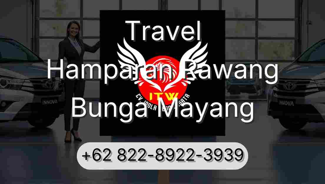 Travel Hamparan Rawang Bunga Mayang