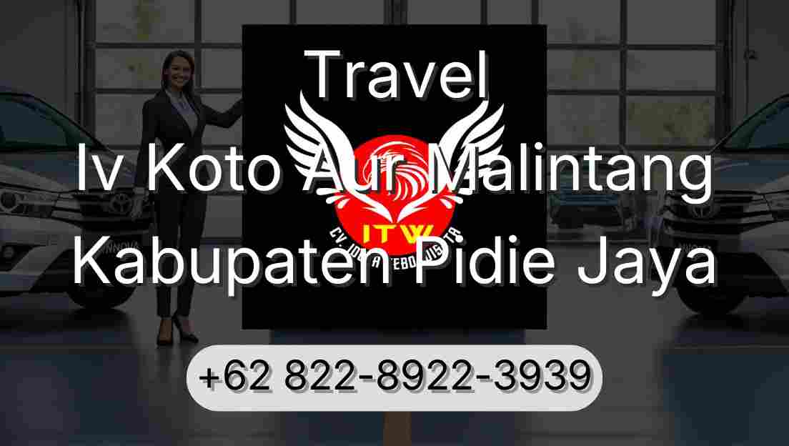 Travel Iv Koto Aur Malintang Kabupaten Pidie Jaya