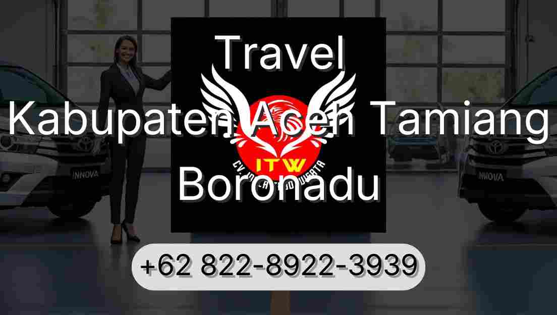 Travel Kabupaten Aceh Tamiang Boronadu