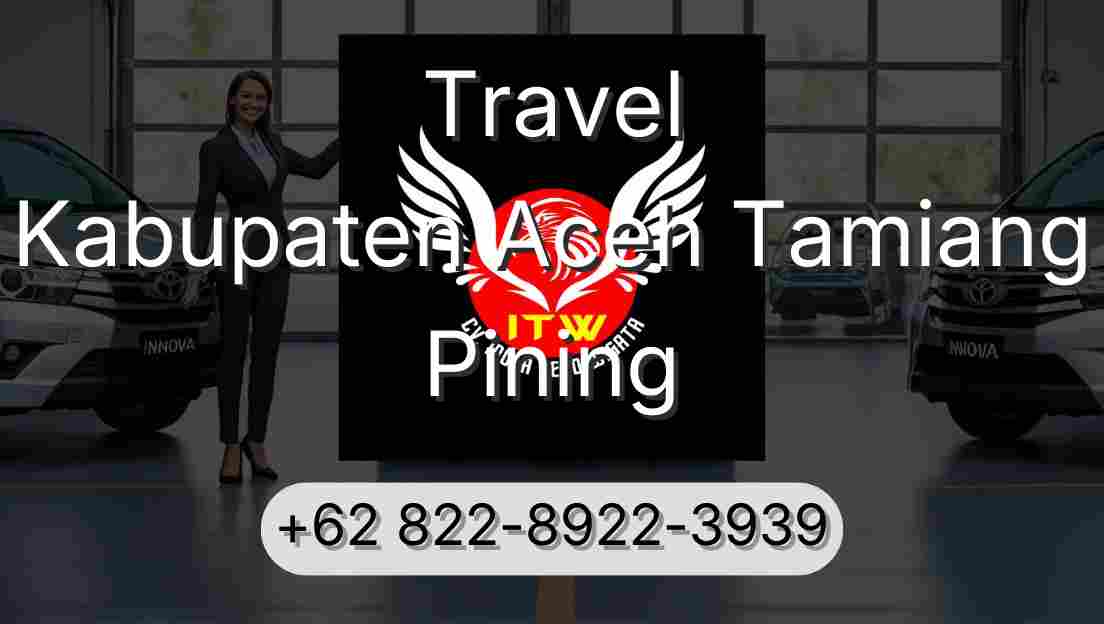 Travel Kabupaten Aceh Tamiang Pining