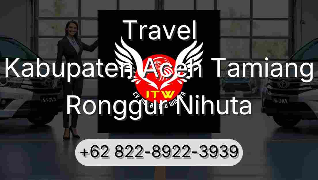 Travel Kabupaten Aceh Tamiang Ronggur Nihuta