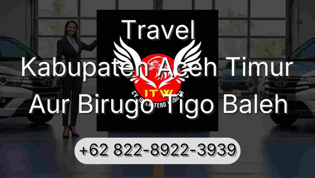 Travel Kabupaten Aceh Timur Aur Birugo Tigo Baleh