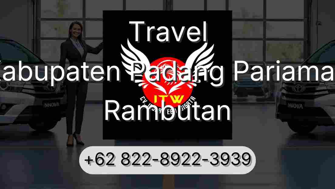 Travel Kabupaten Padang Pariaman Rambutan