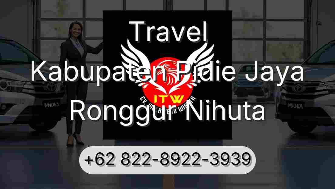 Travel Kabupaten Pidie Jaya Ronggur Nihuta