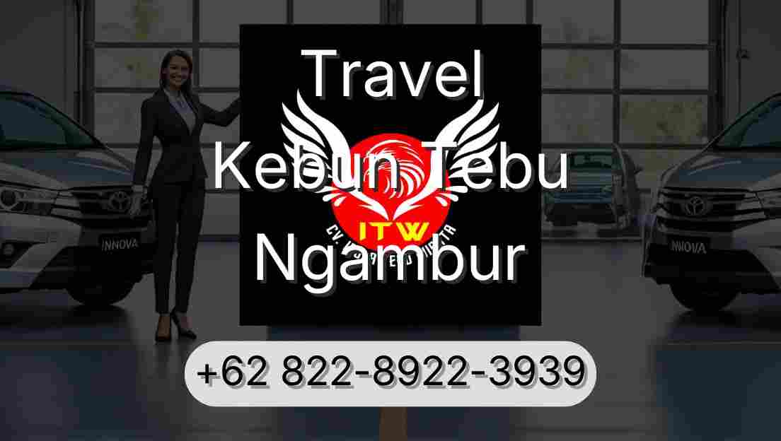 Travel Kebun Tebu Ngambur