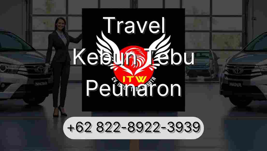 Travel Kebun Tebu Peunaron