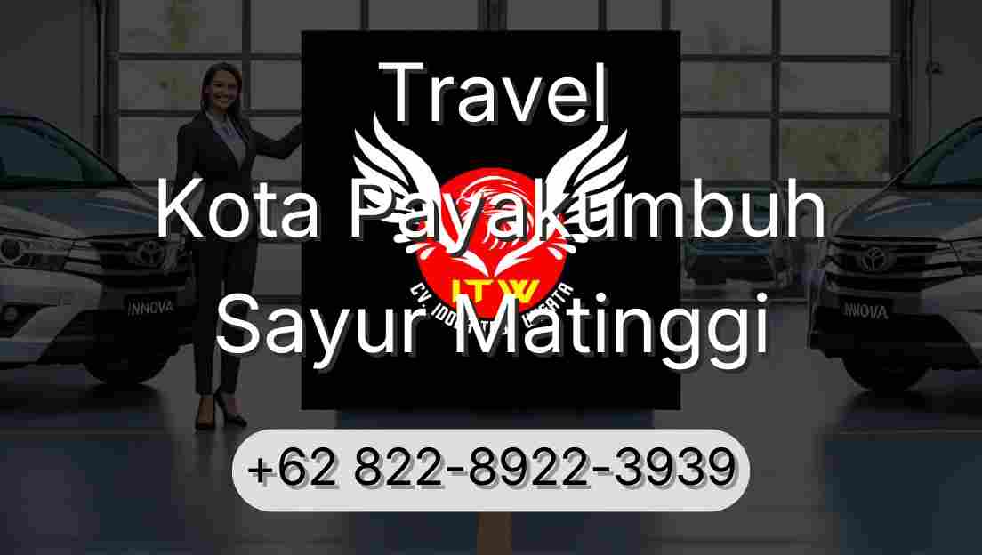Travel Kota Payakumbuh Sayur Matinggi