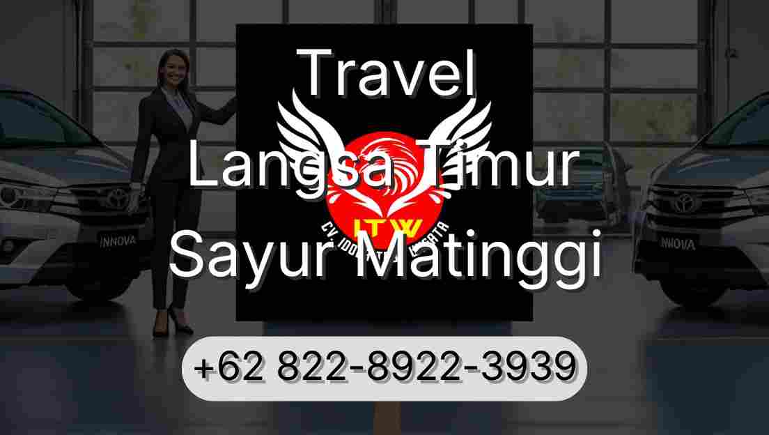 Travel Langsa Timur Sayur Matinggi
