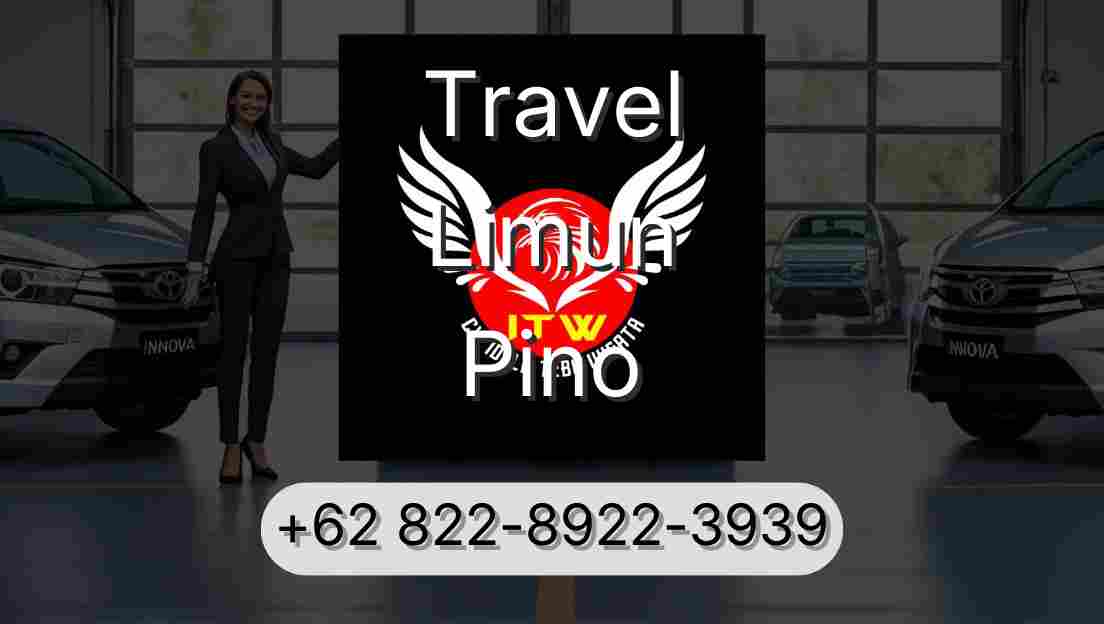 Travel Limun Pino