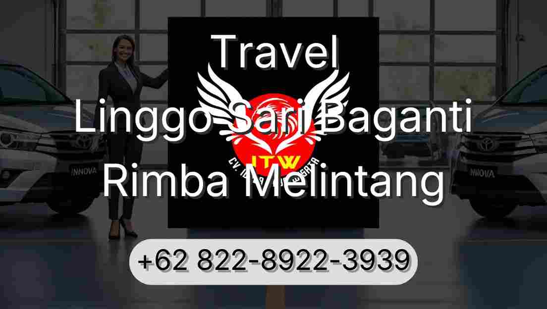 Travel Linggo Sari Baganti Rimba Melintang