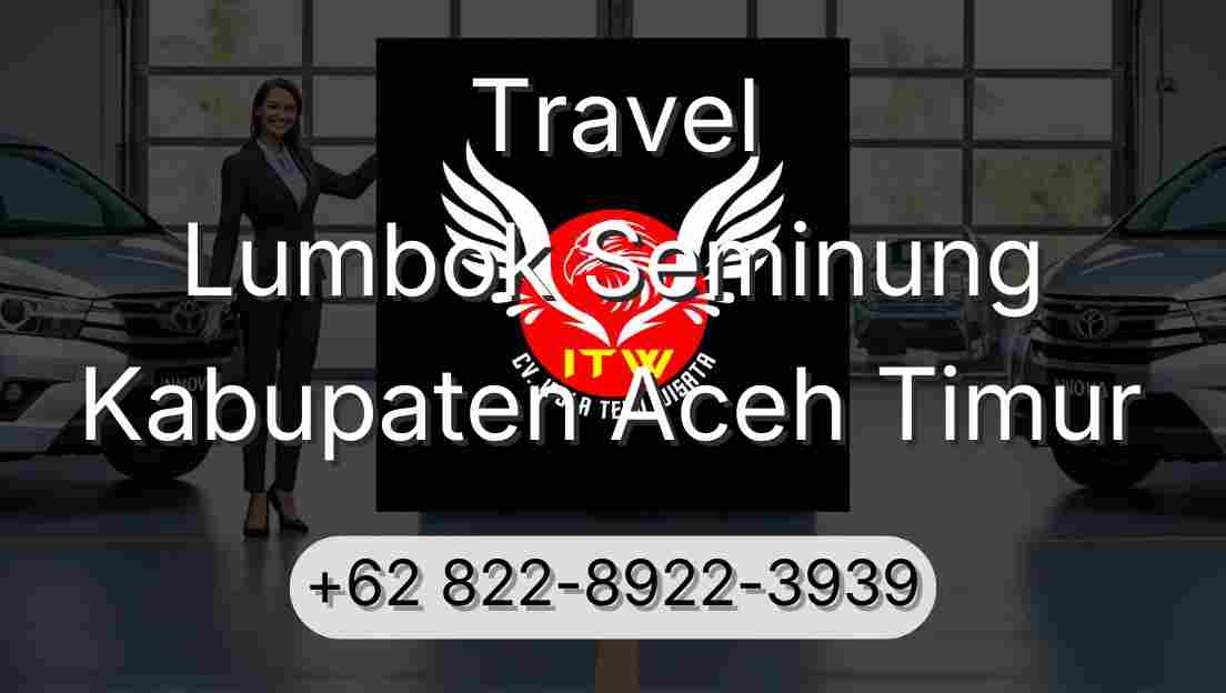Travel Lumbok Seminung Kabupaten Aceh Timur