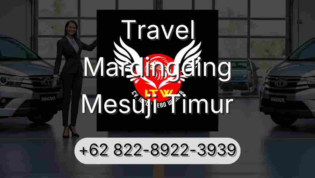 Travel Mardingding Mesuji Timur