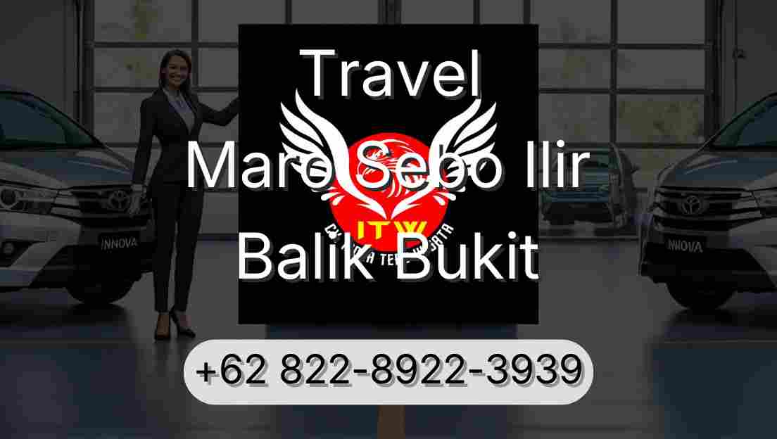 Travel Maro Sebo Ilir Balik Bukit