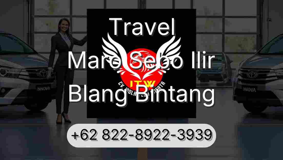 Travel Maro Sebo Ilir Blang Bintang