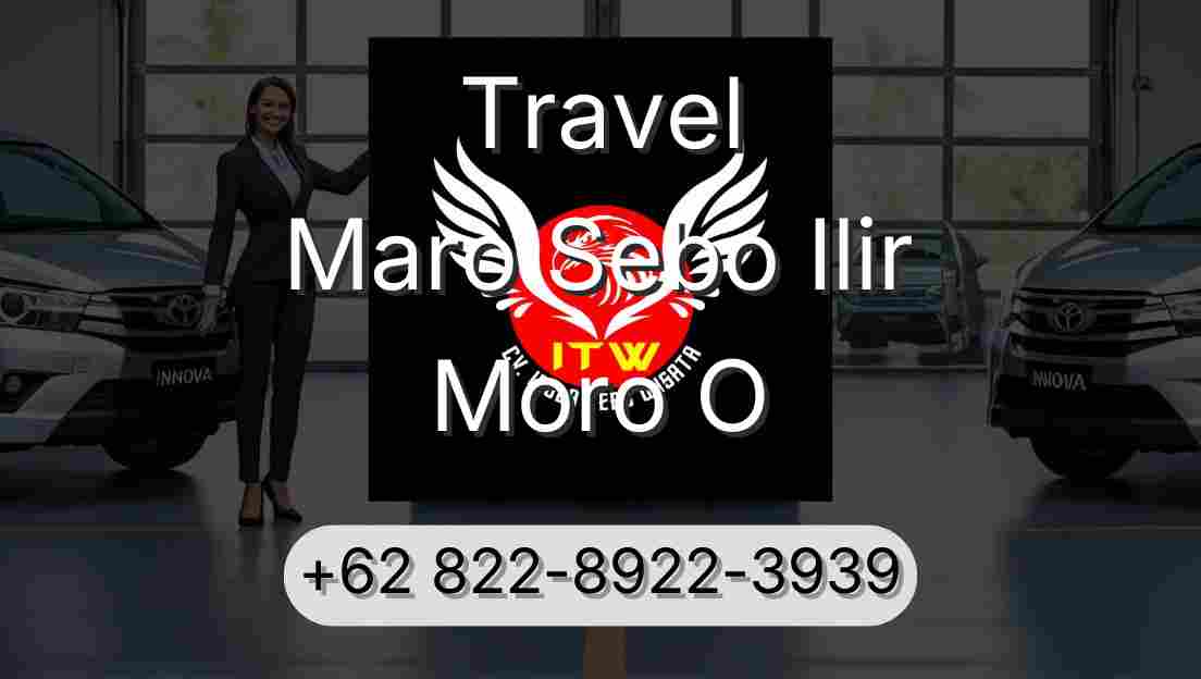 Travel Maro Sebo Ilir Moro O