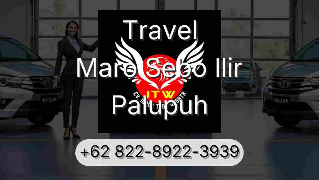 Travel Maro Sebo Ilir Palupuh
