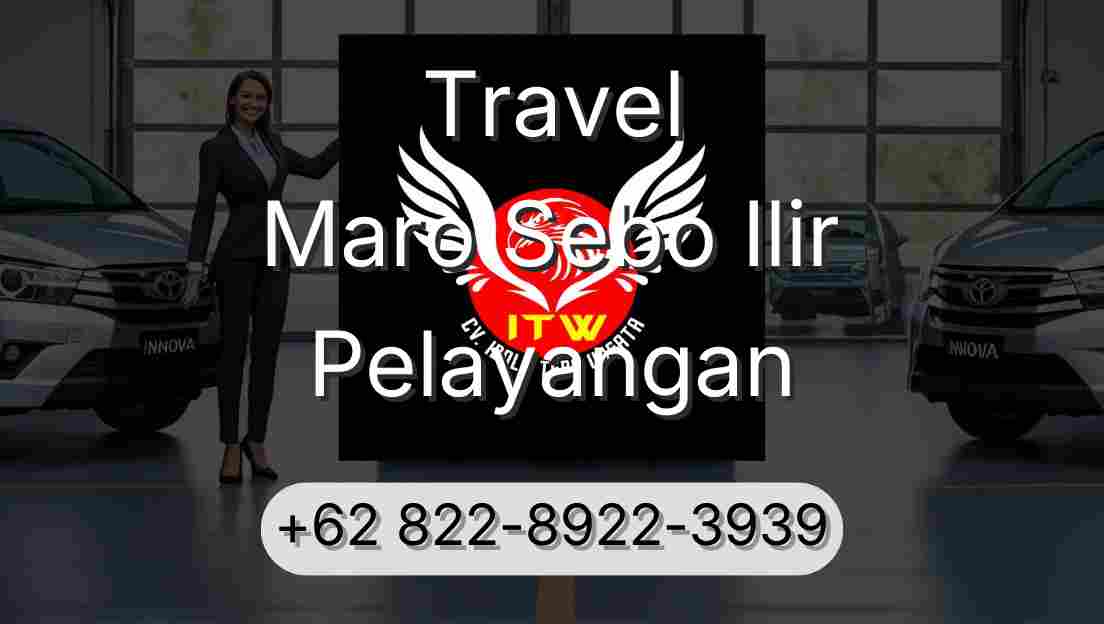 Travel Maro Sebo Ilir Pelayangan