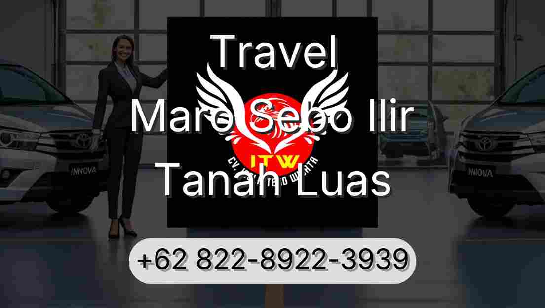 Travel Maro Sebo Ilir Tanah Luas