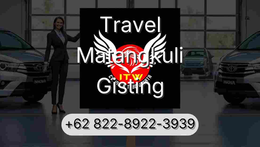 Travel Matangkuli Gisting