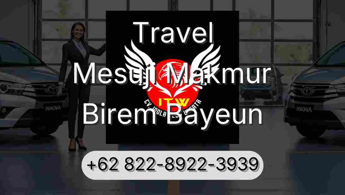 Travel Mesuji Makmur Birem Bayeun