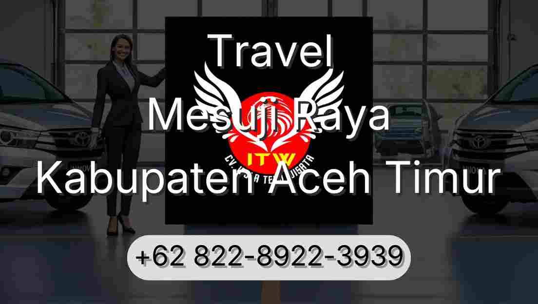 Travel Mesuji Raya Kabupaten Aceh Timur